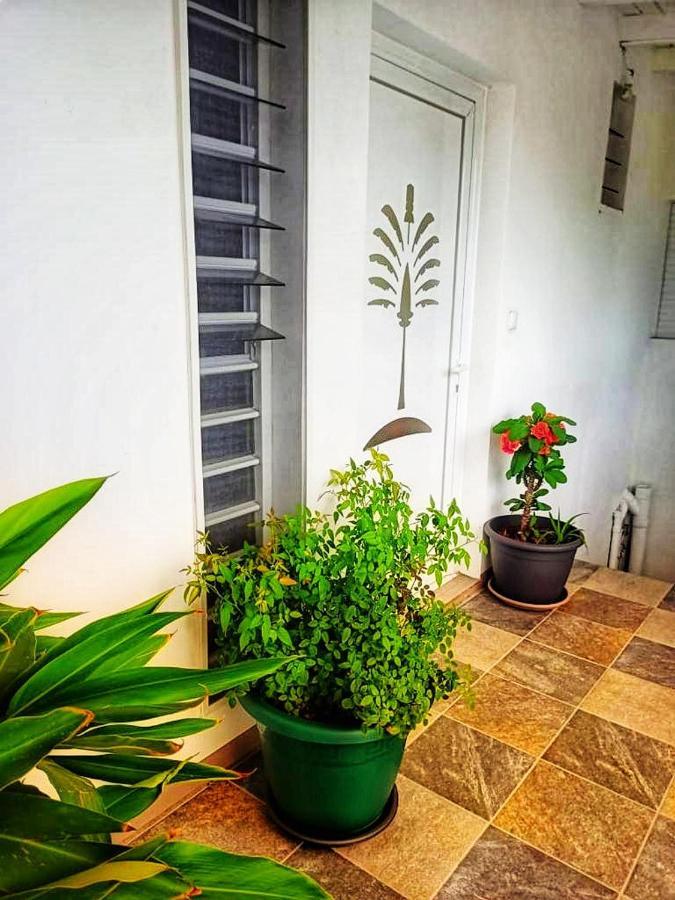 Le Balisier Apartment Saint-Francois  Ngoại thất bức ảnh